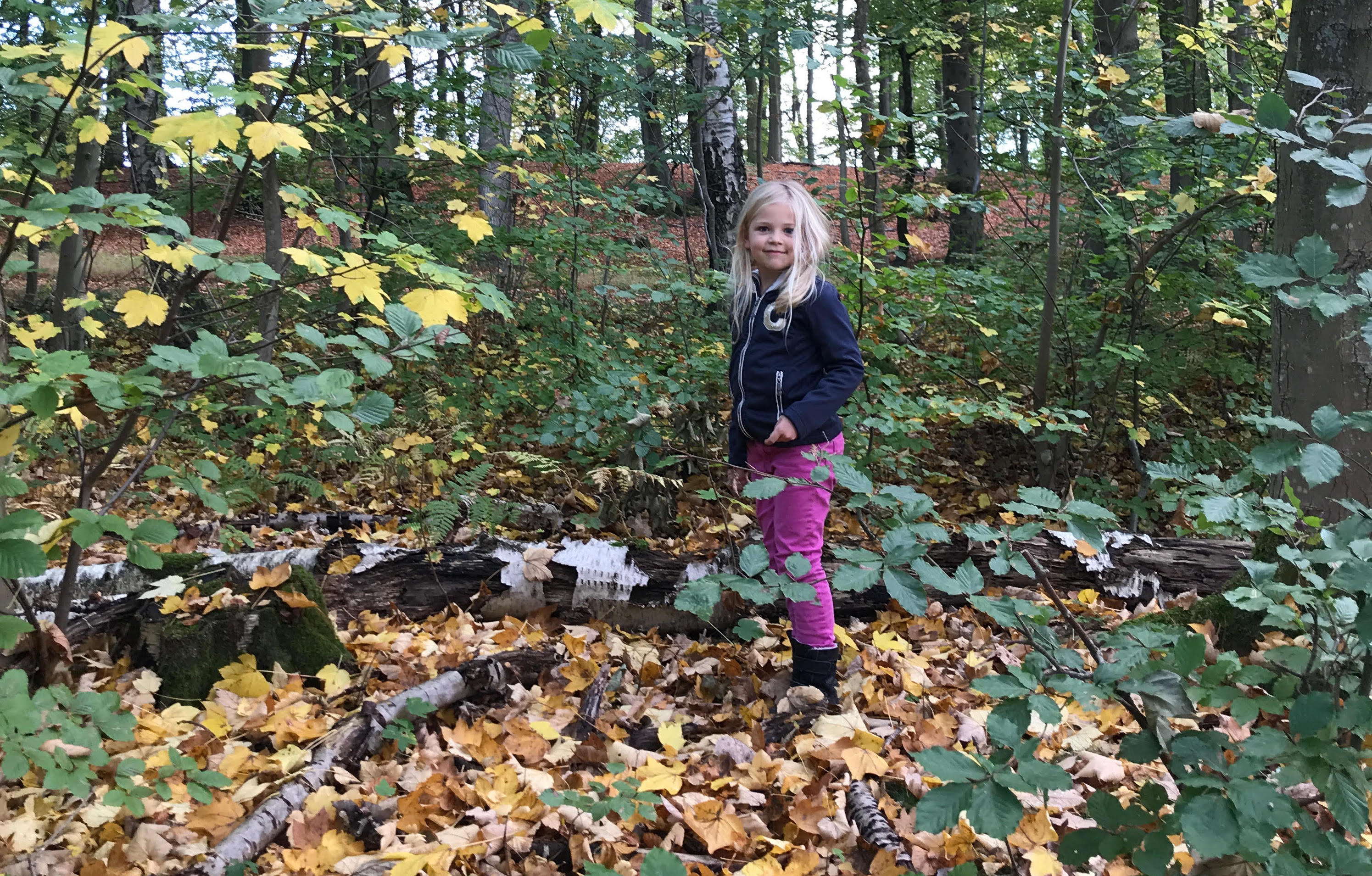 alle kinderen naar buiten, buiten spelen, buiten spelen boek