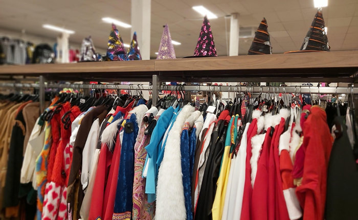 carnavals kostuum voor meisjes