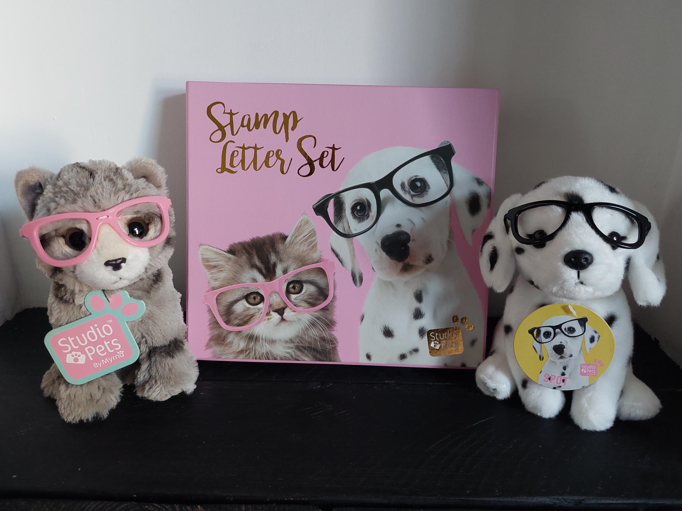 studio pets sinterklaas cadeau voor een meisje