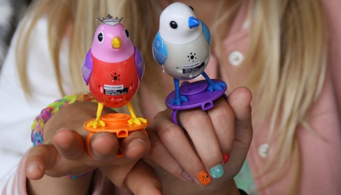 DIGIBIRDS, Girlslabel, nieuwe rage vogeltjes, speelgoed trend