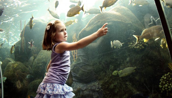 met kinderen naar griekenland, vakantie met kinderen, griekse eilanden