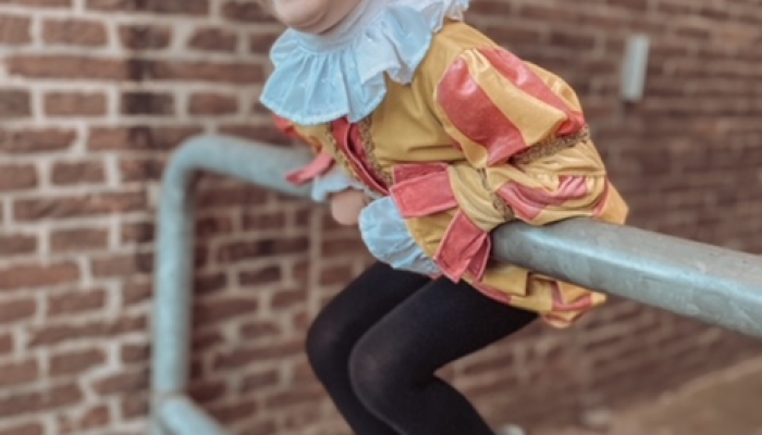 sinterklaas sinterklaasfeest sinterklaasviering