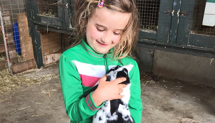 verhuizen en kinderfeestjes, meisjesfeest